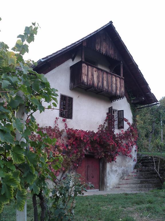 Guesthouse Zorko Gostilna Domen Smarjeske Toplice Exterior foto