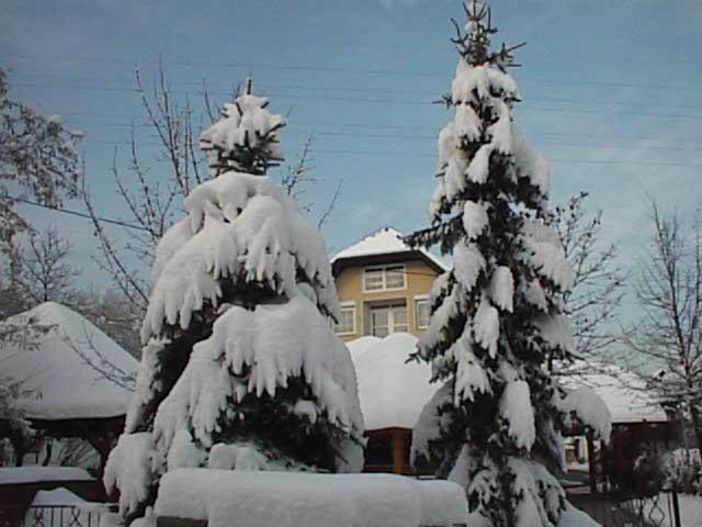 Guesthouse Zorko Gostilna Domen Smarjeske Toplice Exterior foto